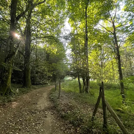 Mini Yourte Dans La Foret 艾格芳德