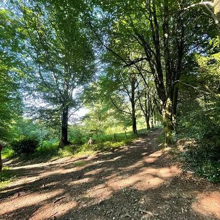 خيمة فخمة Mini Yourte Dans La Foret *